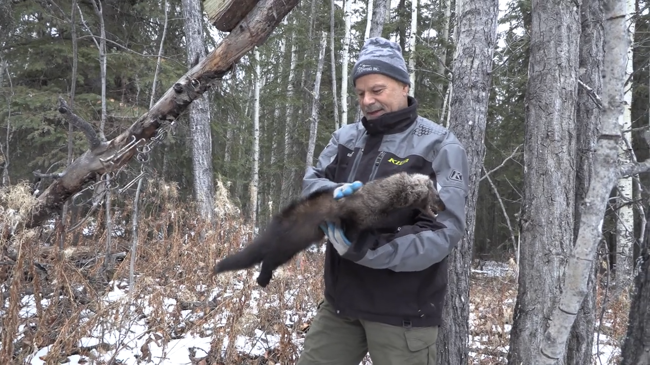 Slow Progress episode thumbnail