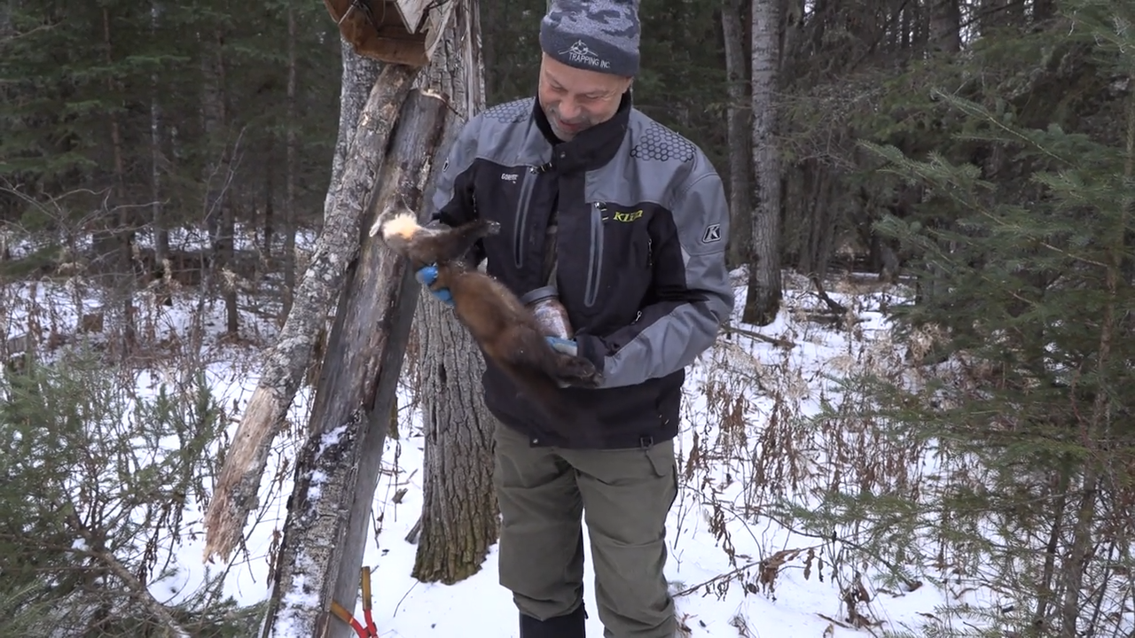 Surprise Success Rate episode thumbnail