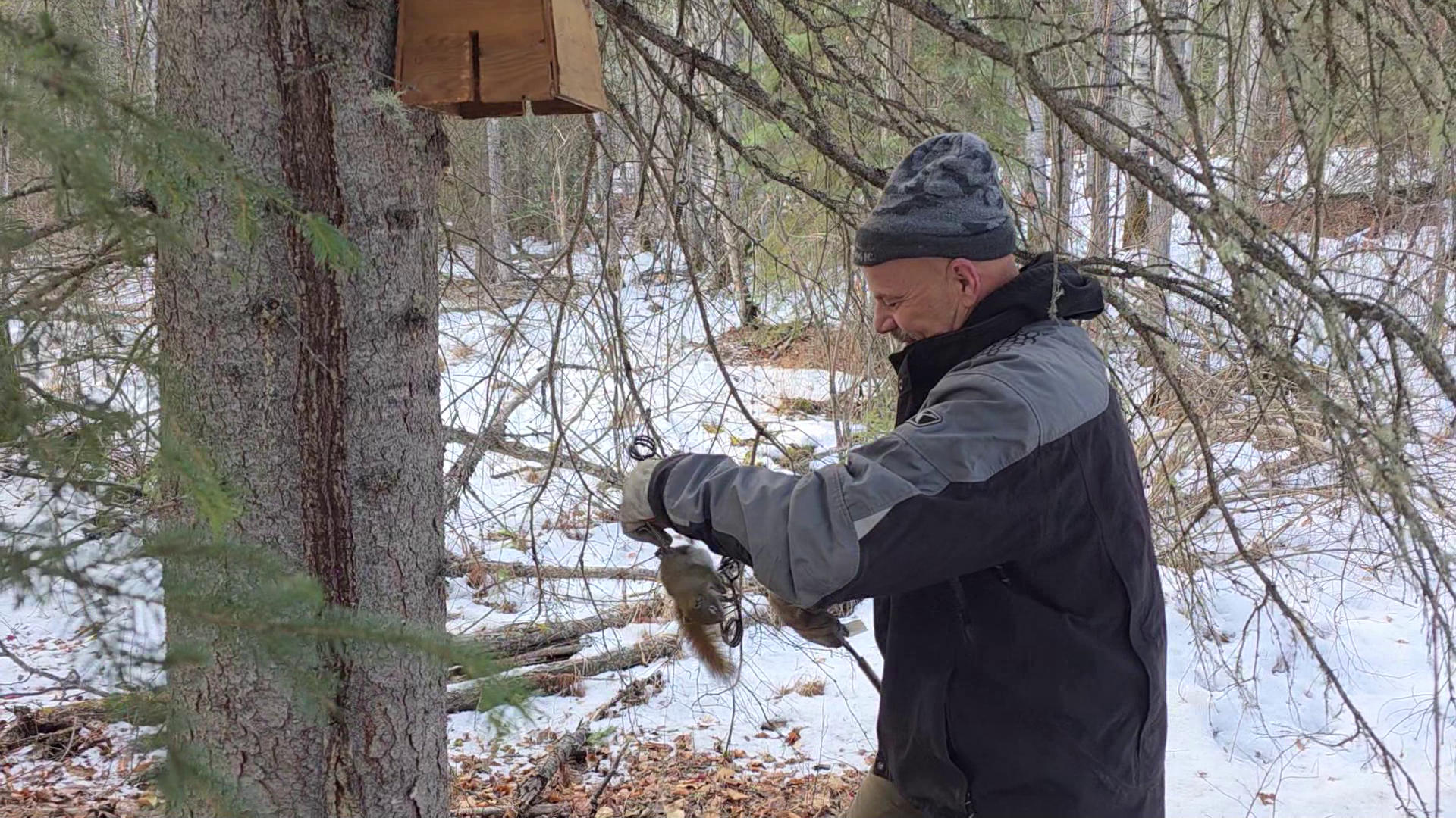 Squirrel Apocalypse episode thumbnail