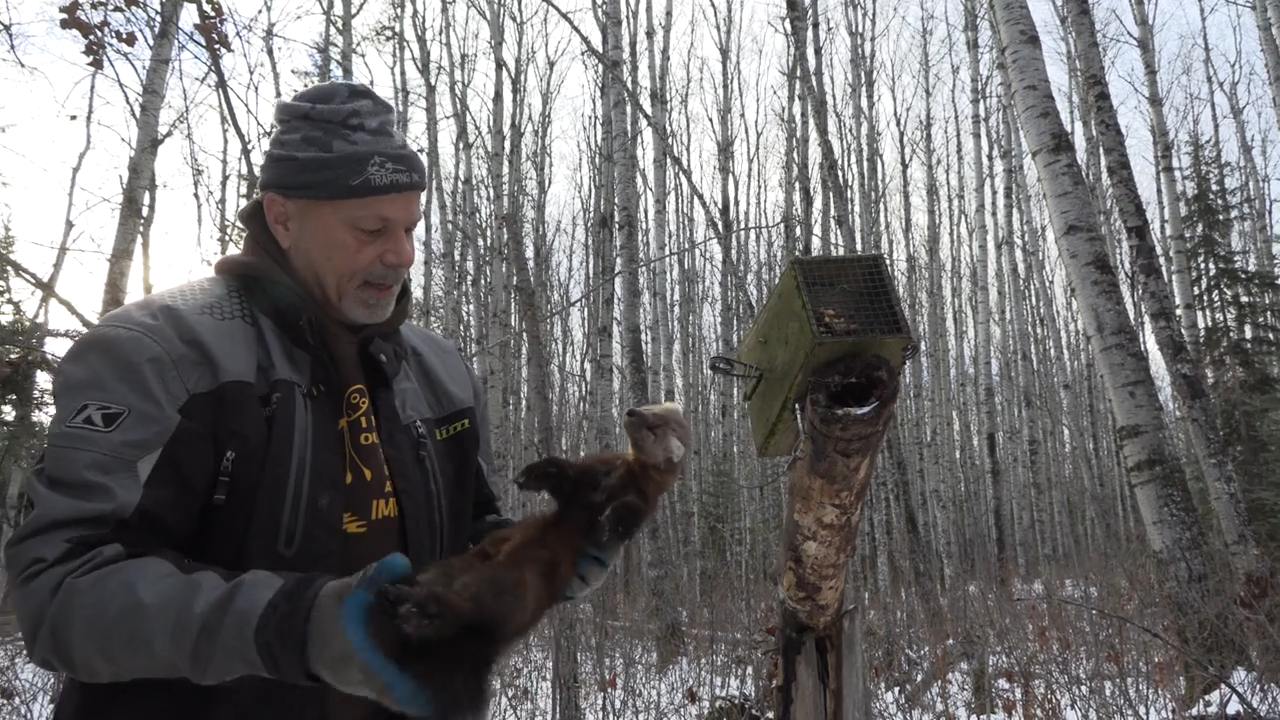 Marten Line episode thumbnail