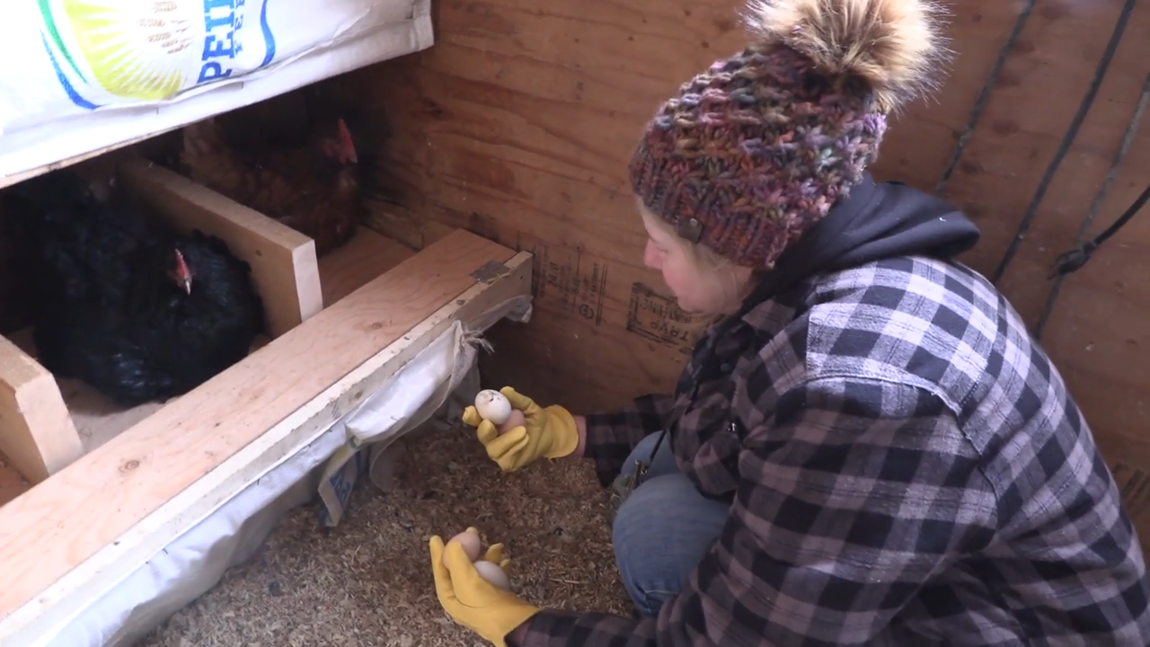 Homesteading Lifestyle episode thumbnail