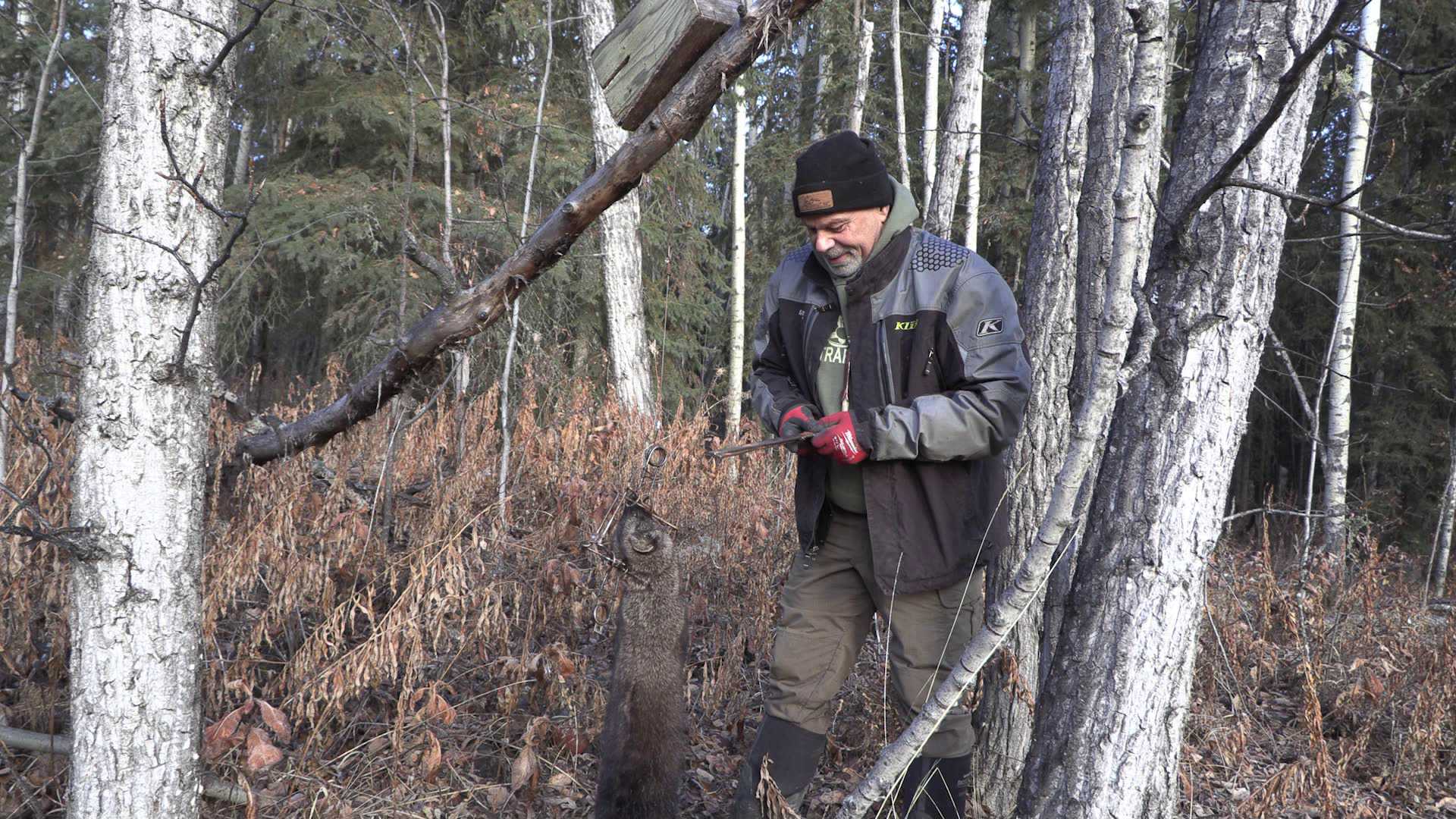 Marten and Fisher Line in Winter episode thumbnail