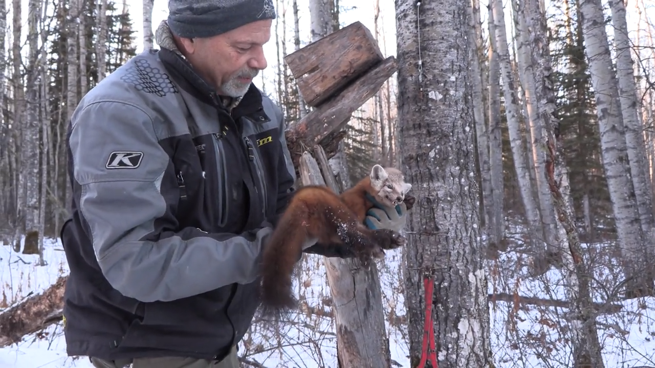 A Little Bit of Everything episode thumbnail