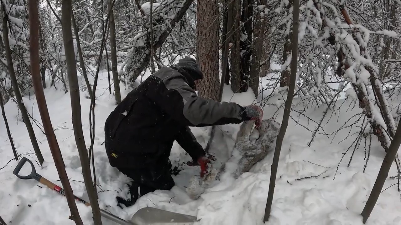 SNOWMAGEDDON!! episode thumbnail