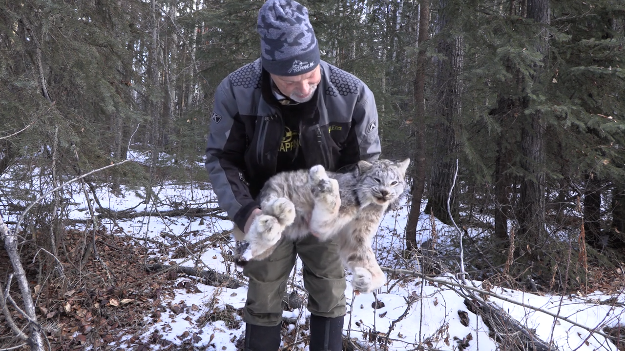 Lynx Season Ramp Up episode thumbnail