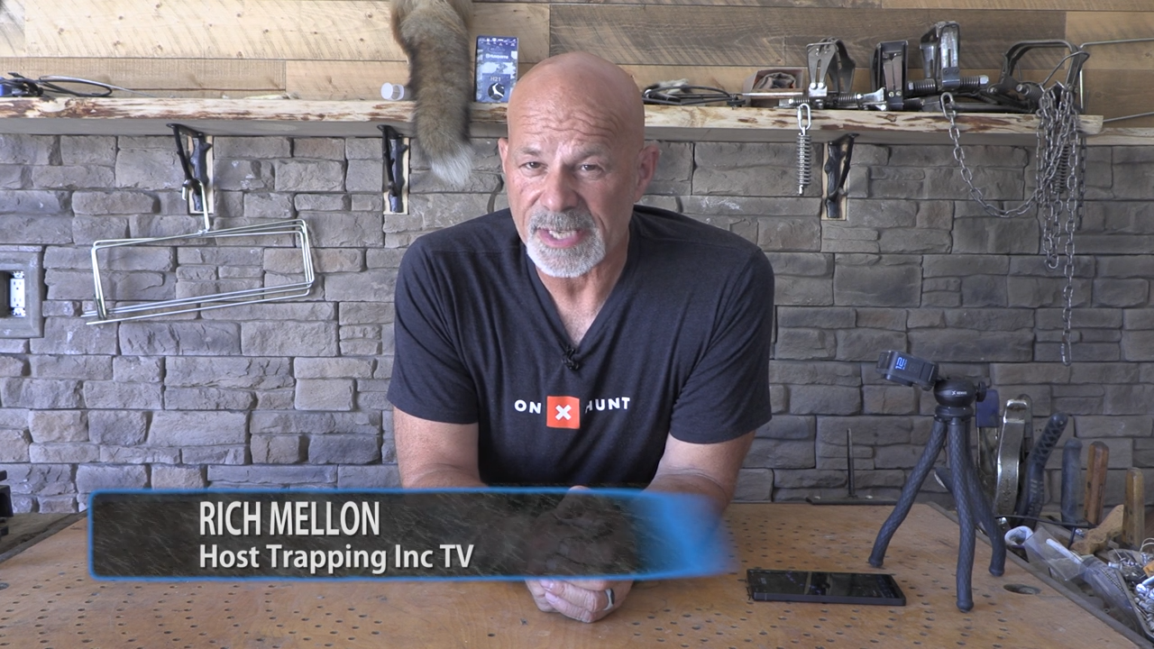 Lynx! episode thumbnail