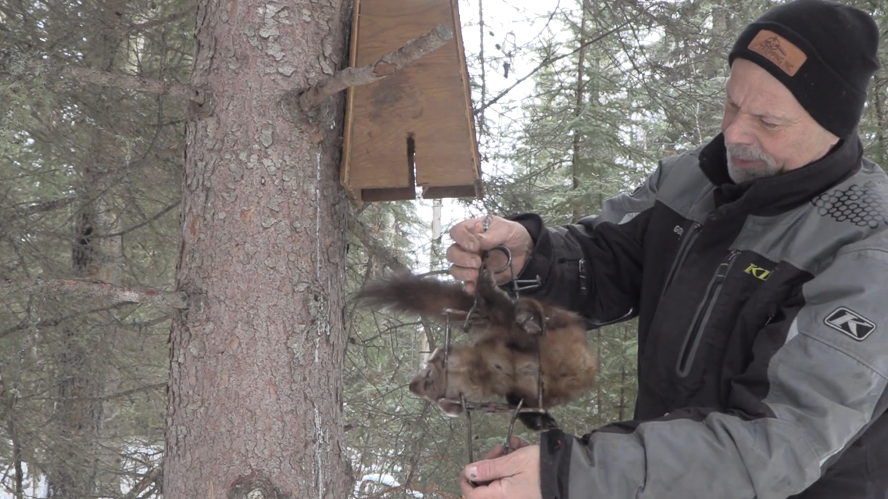 Season Finale and An Exciting Announcement episode thumbnail