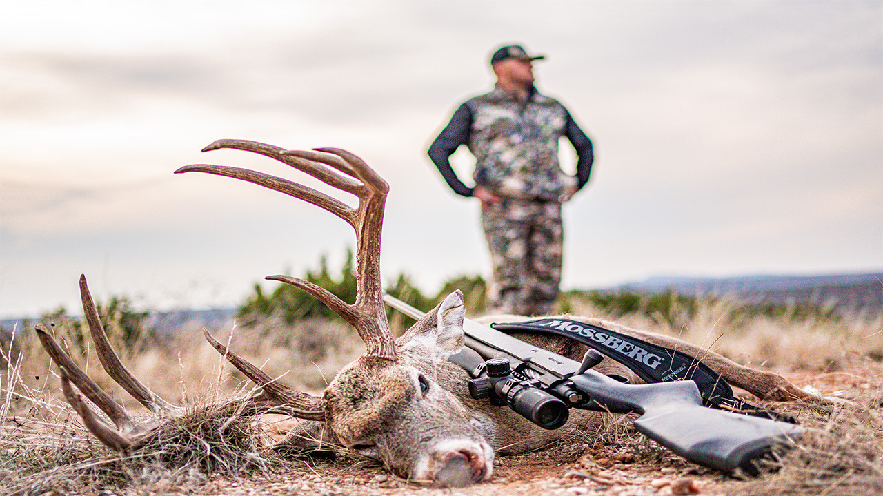 We Have Arrived! episode thumbnail