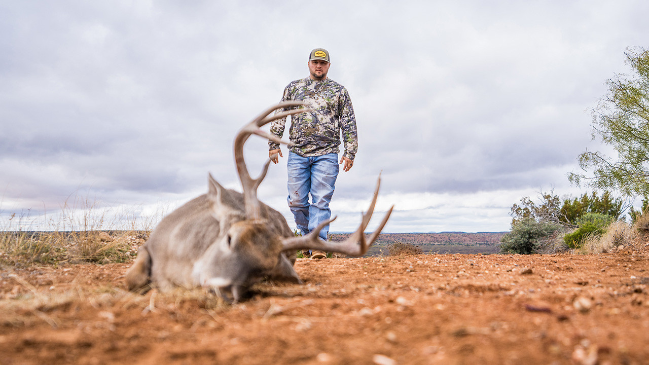 The Bushmaster episode thumbnail