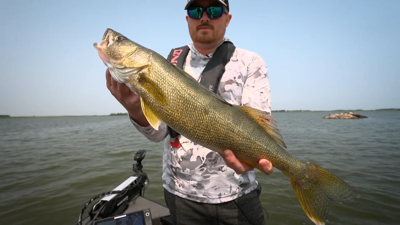 Shallow Prairie Walleyes episode thumbnail