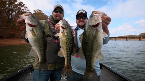 Southern Reservoir Bass episode thumbnail