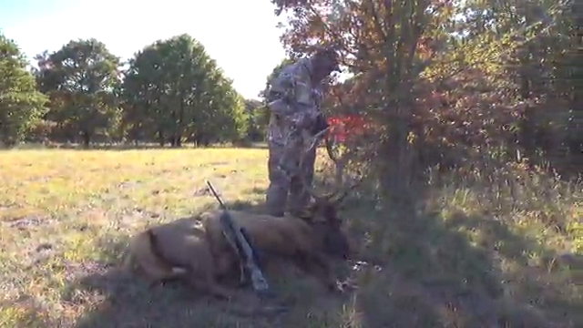 Pogany Whitetails Surprise episode thumbnail