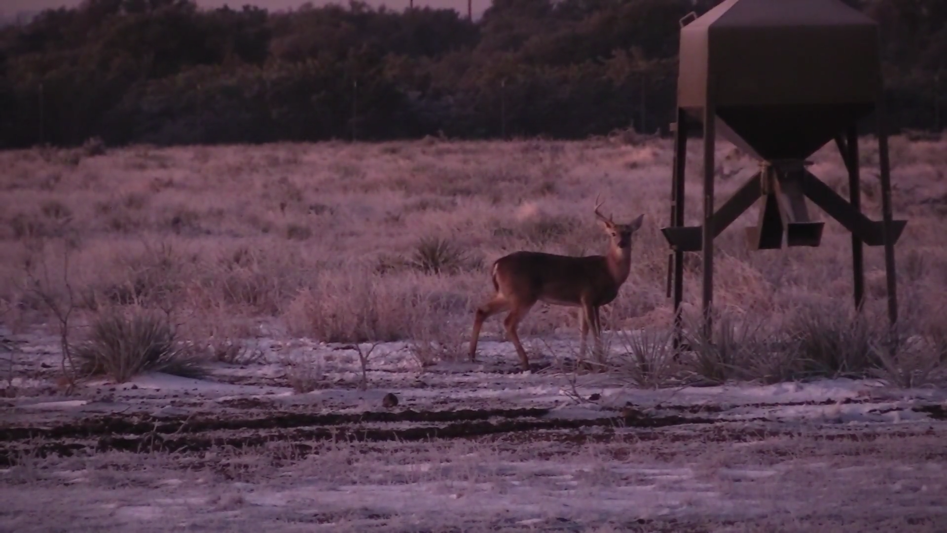 History In The Making episode thumbnail