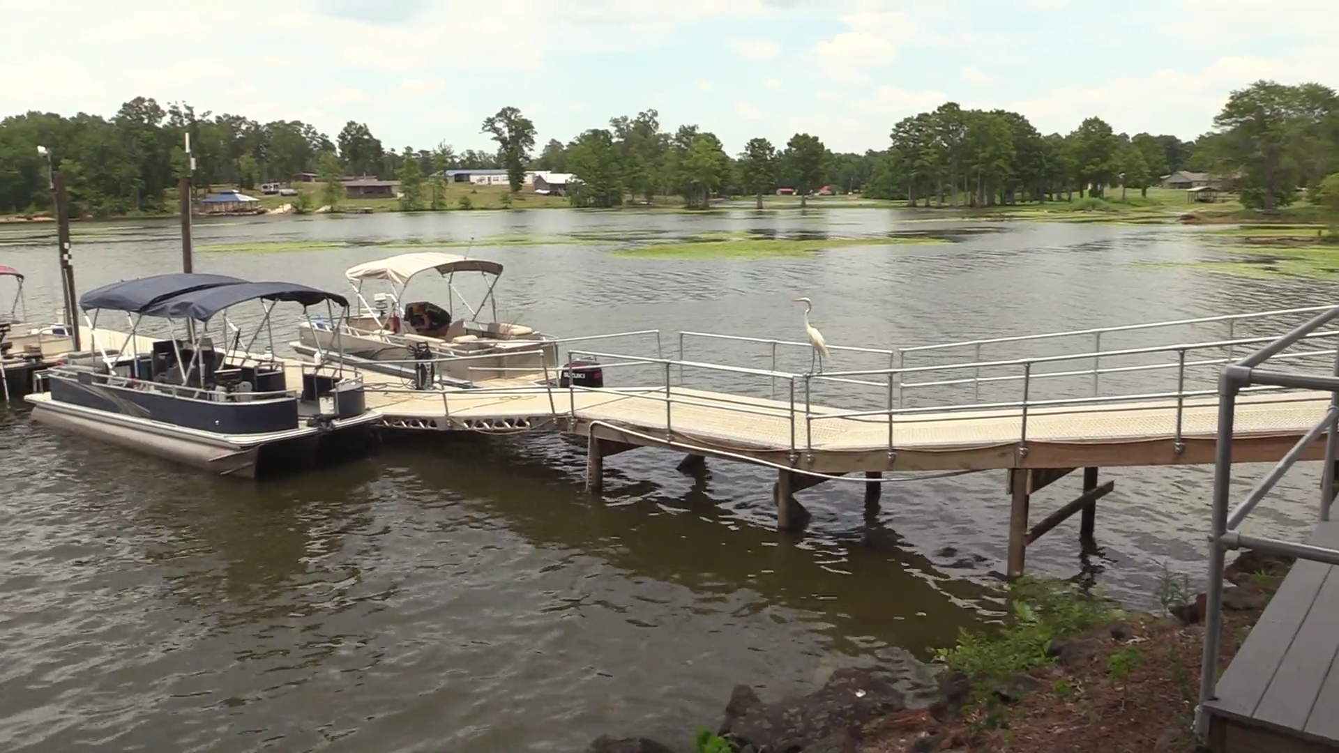 Fishing Frenzy episode thumbnail