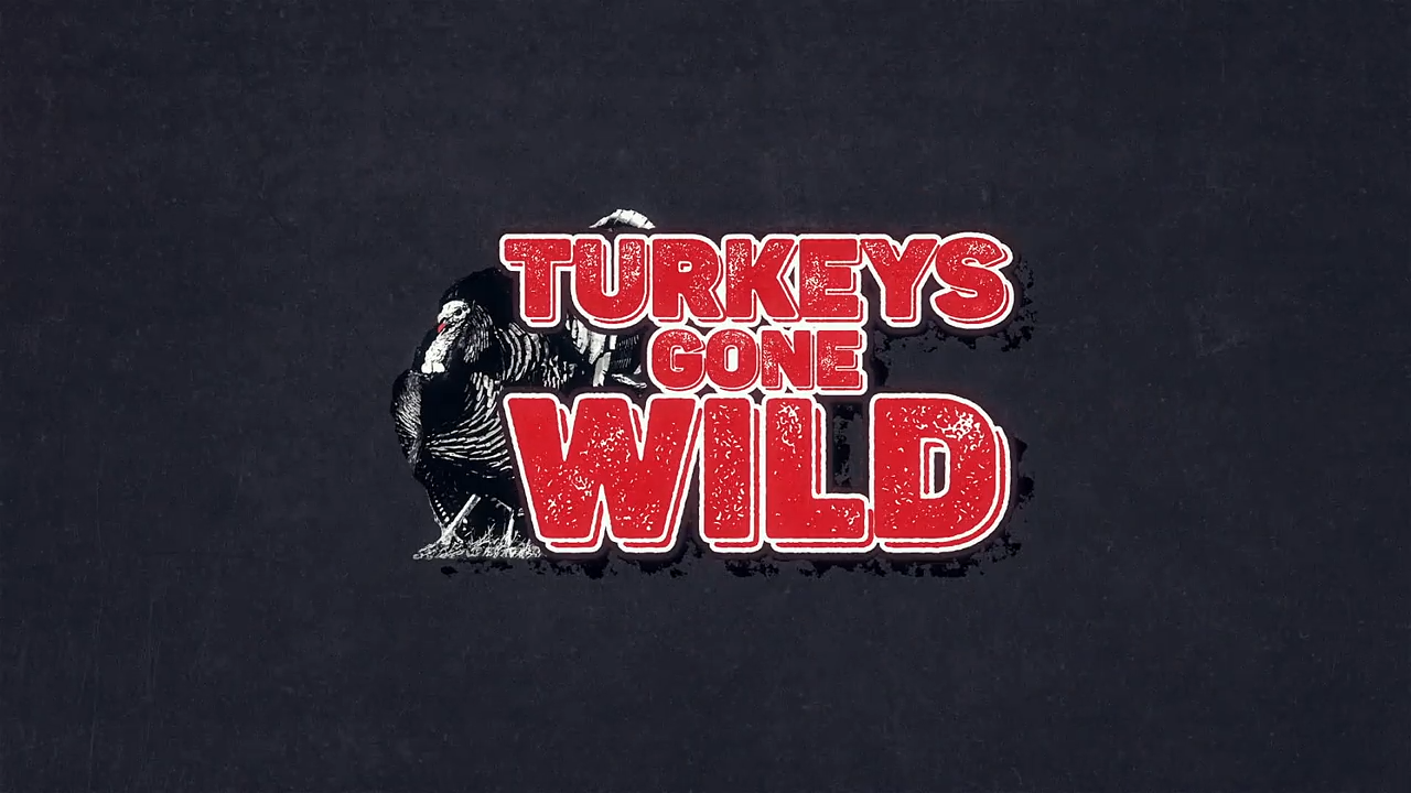 Turkeys Gone Wild 2024 episode thumbnail