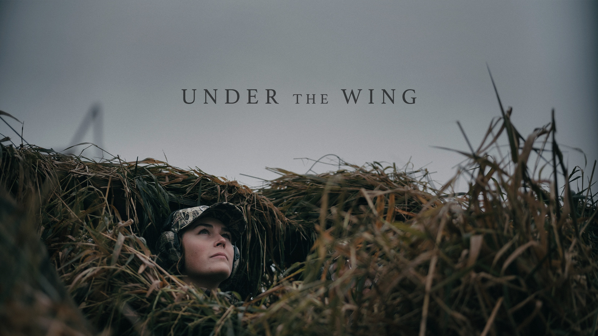 Under the Wing episode thumbnail