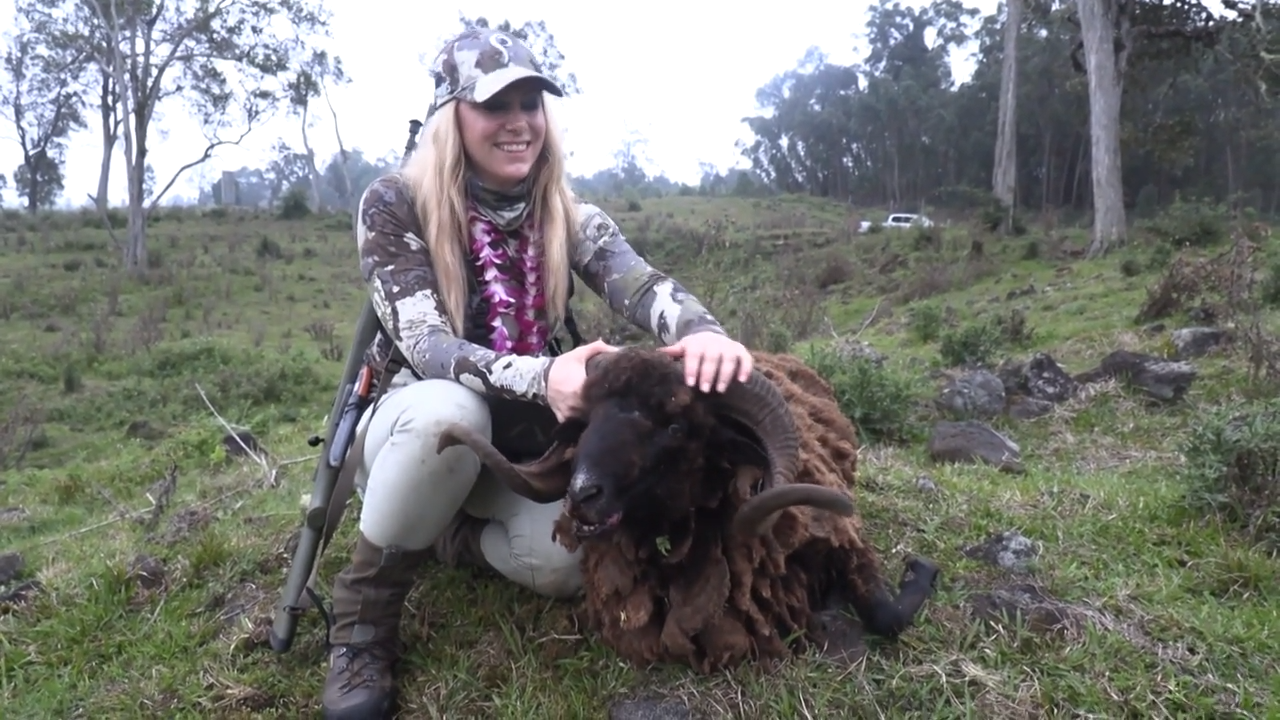 I Got Your Goat Hawaii episode thumbnail