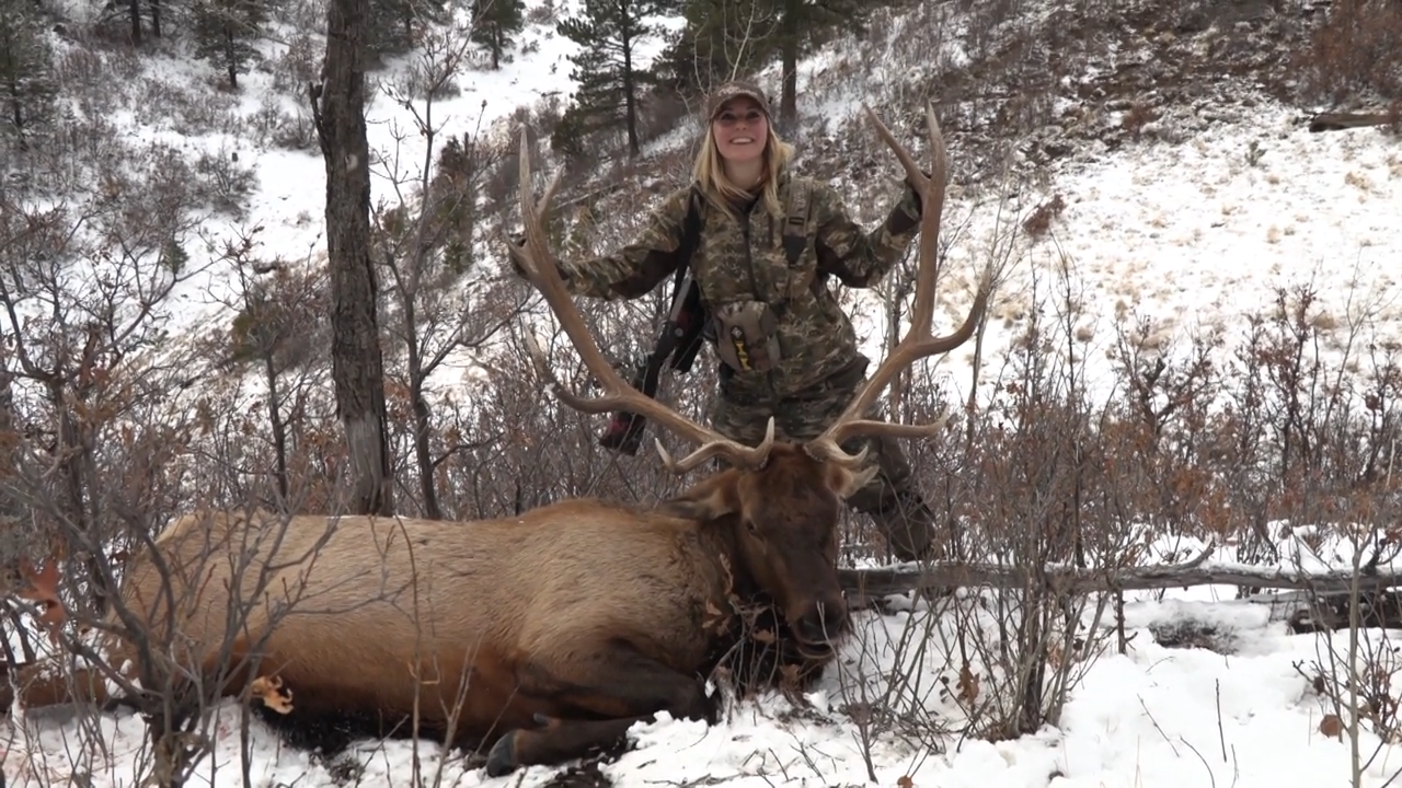 Long Distance Elk episode thumbnail