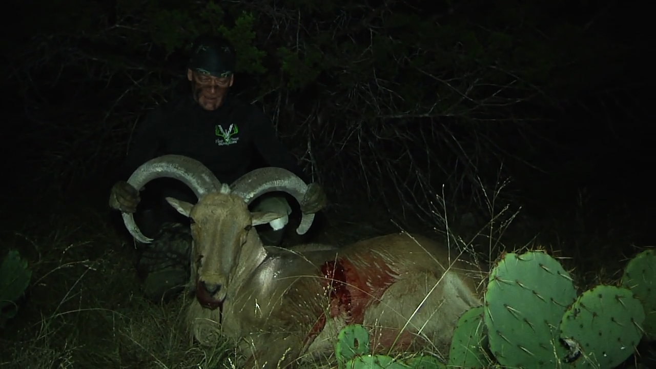 Free Range Aoudad episode thumbnail