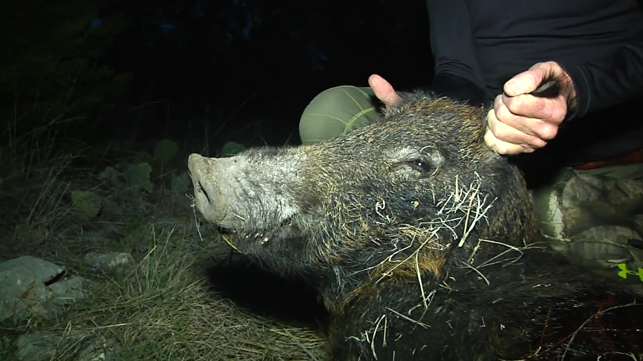 Two at a Time episode thumbnail