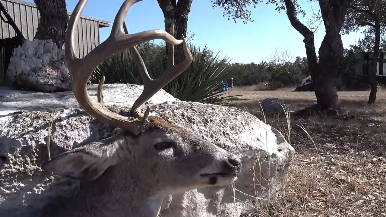 Lessons Learned episode thumbnail