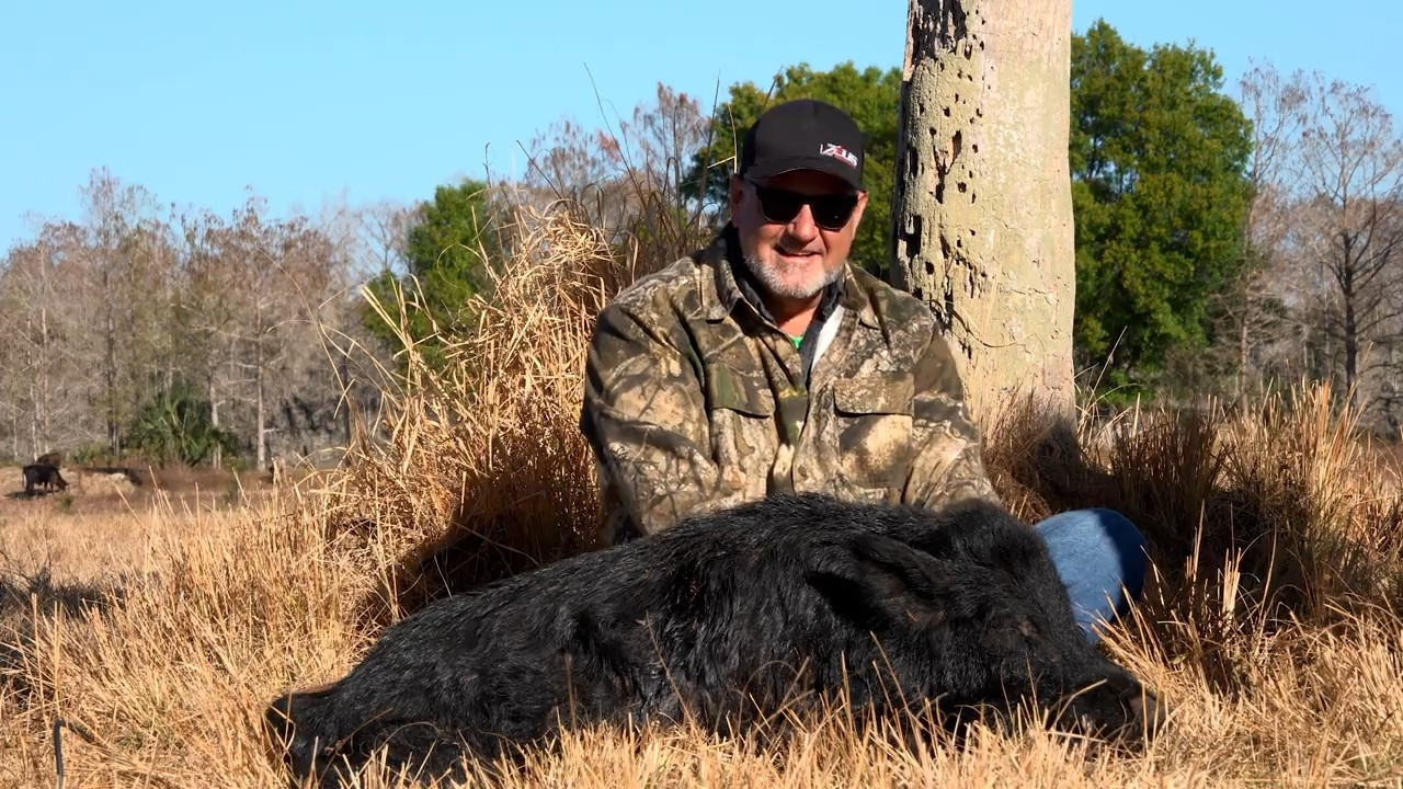 Wild Florida Hogs episode thumbnail