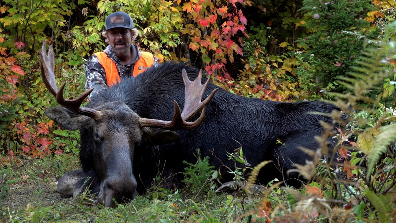 Bullwinkle Finally episode thumbnail
