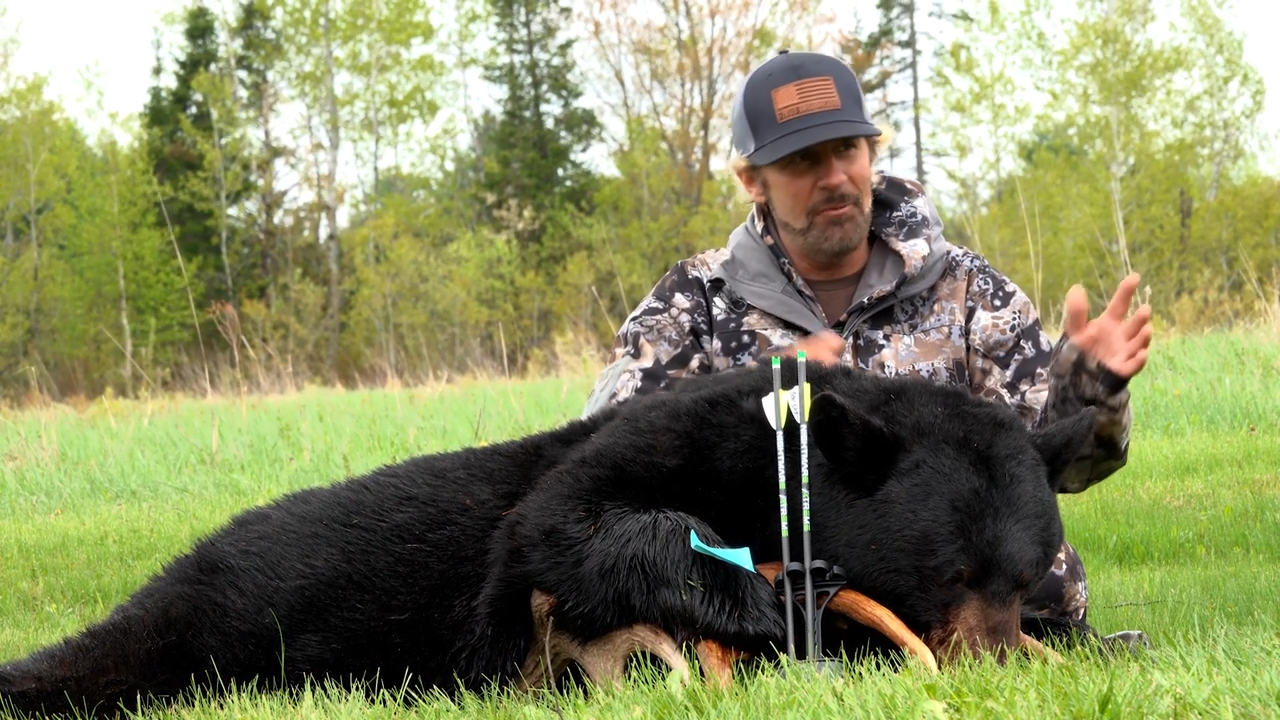 Bears to Backstraps episode thumbnail