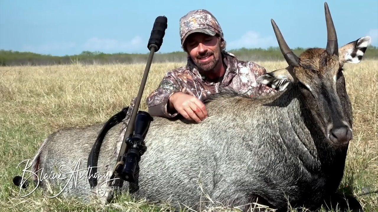 Fair Chase Nilgai episode thumbnail
