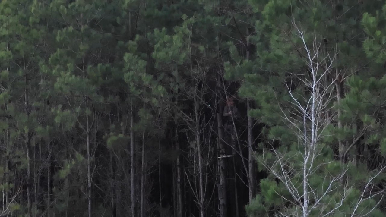 Twerking for Deer episode thumbnail