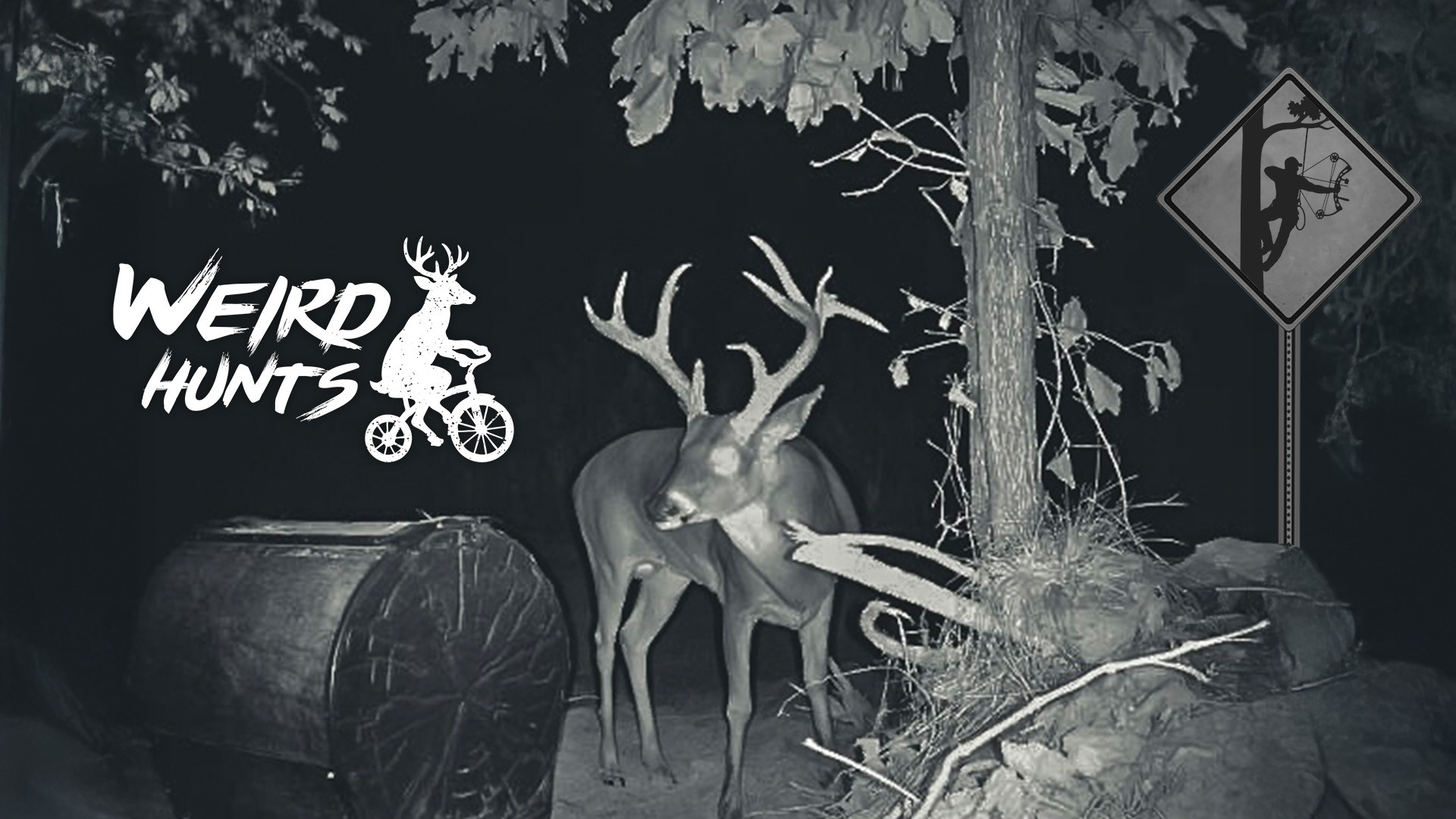 Hunting Directly Above A Feeder episode thumbnail