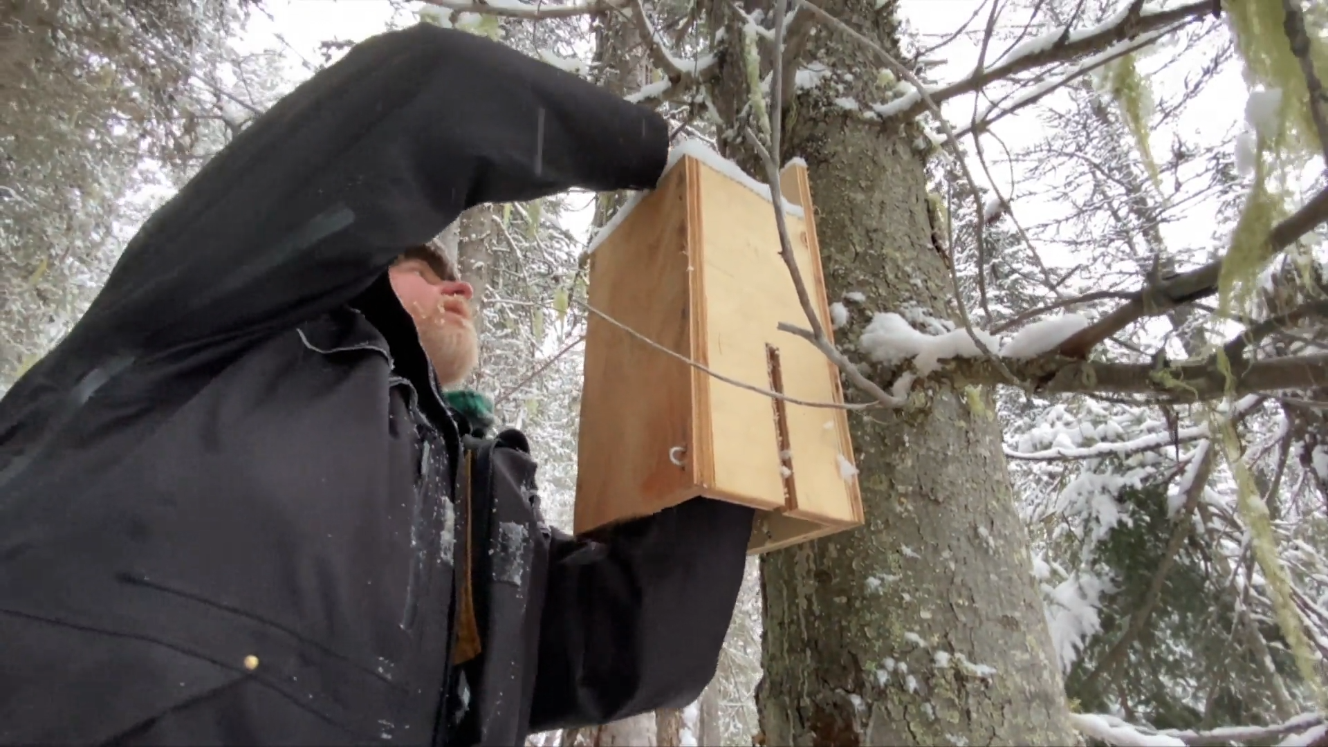 Laying of the Line episode thumbnail