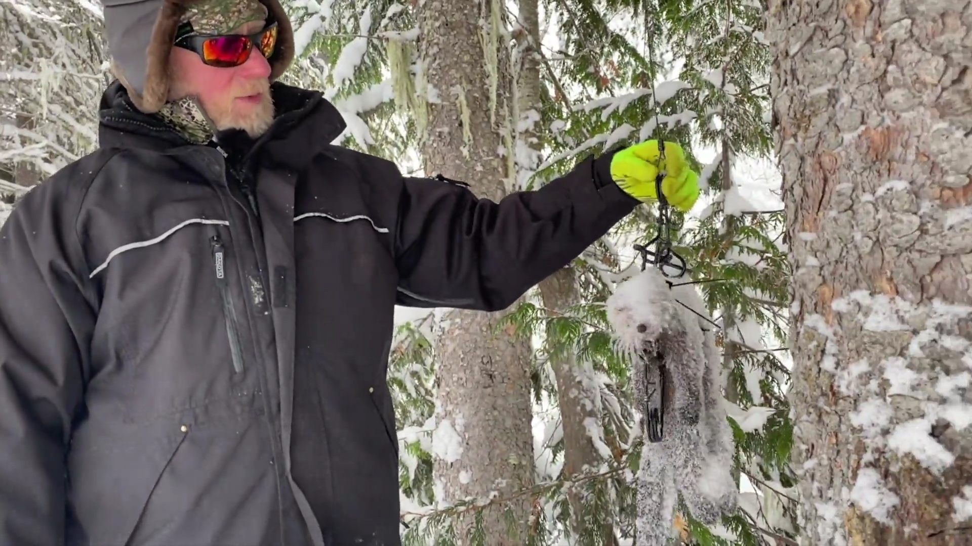 Catching Displaced Juveniles episode thumbnail