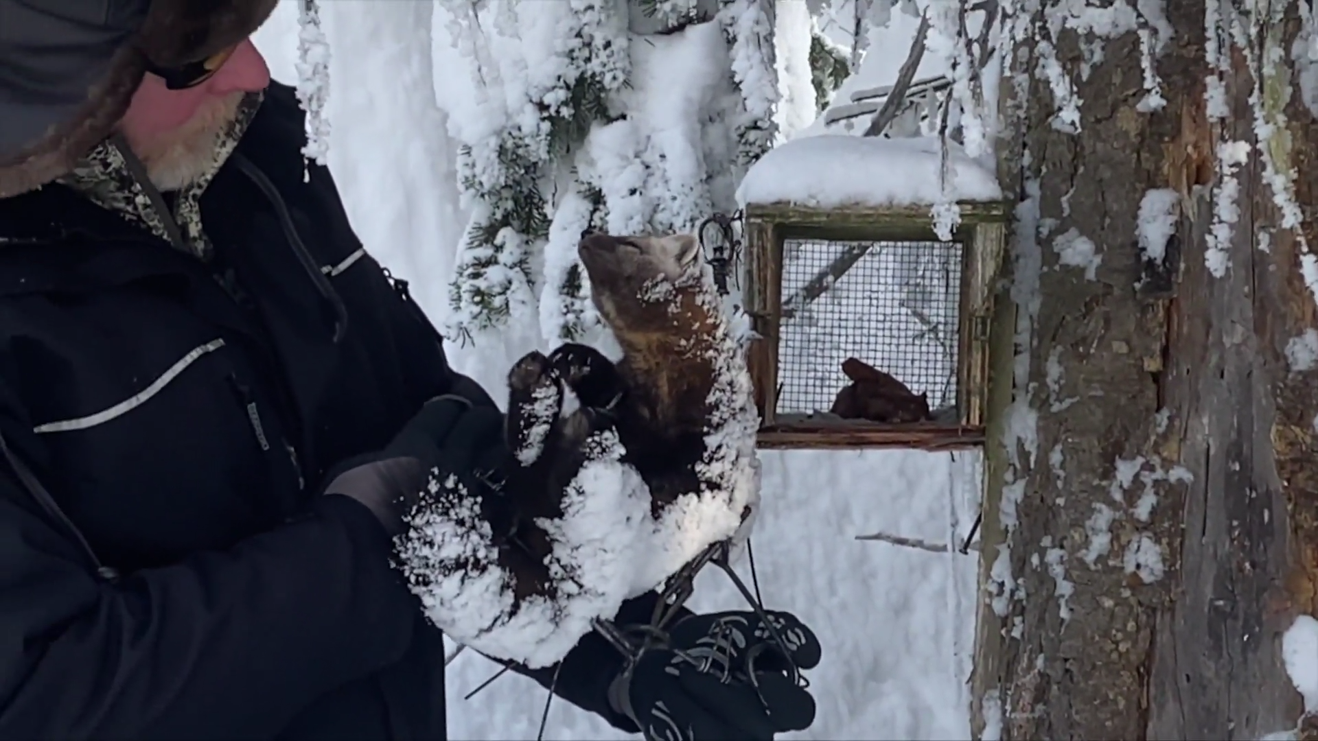 Pulling of the Traps episode thumbnail