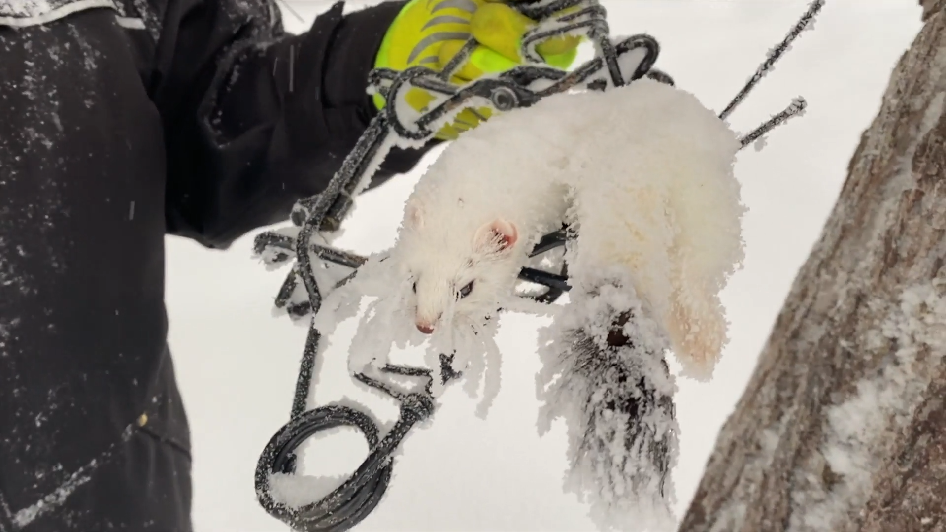 Punching Trails episode thumbnail