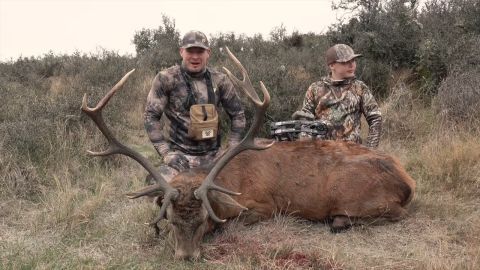 New Zealand Red Stag: Part 2 episode thumbnail