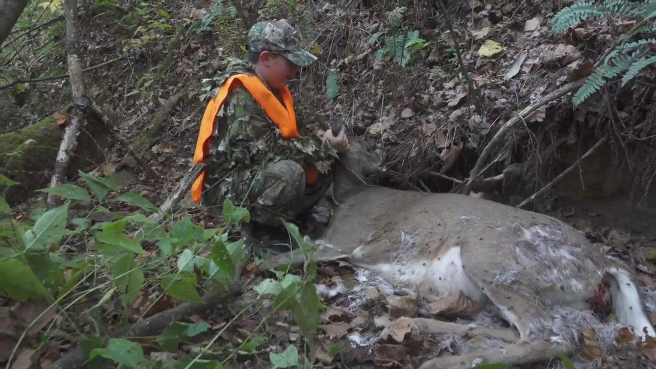 Fall Frenzy: Big Bucks and Young Guns episode thumbnail