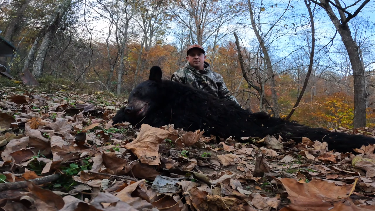 The WV Triple B episode thumbnail