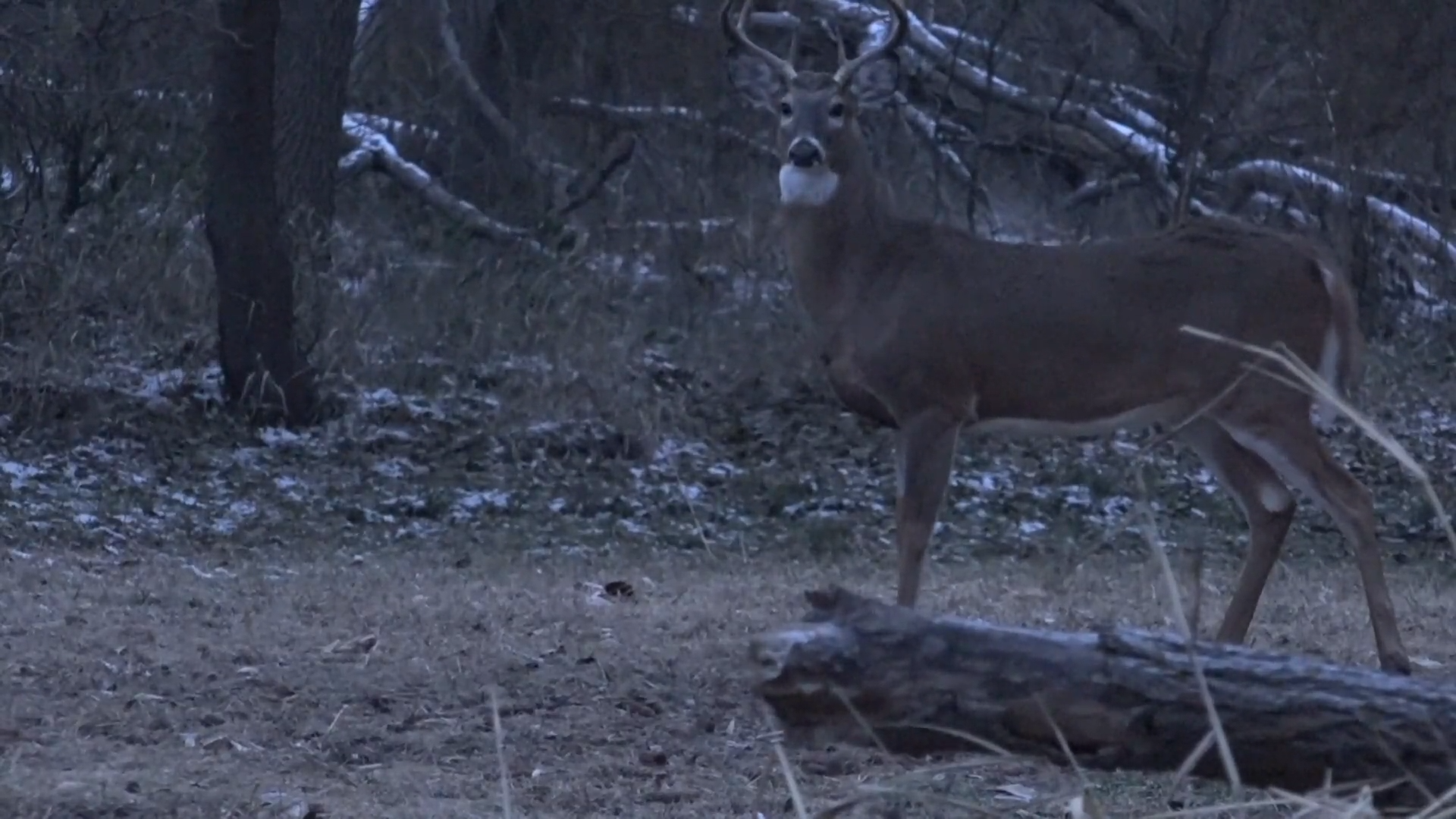 Welcome to Widow Makers episode thumbnail