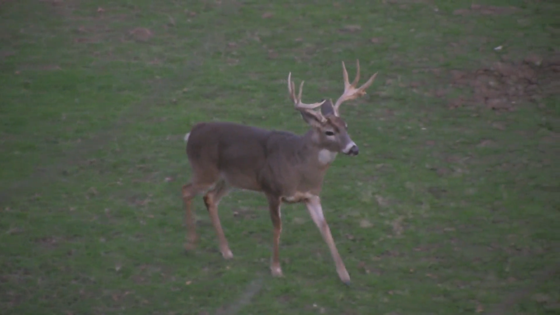 Midwest Double episode thumbnail