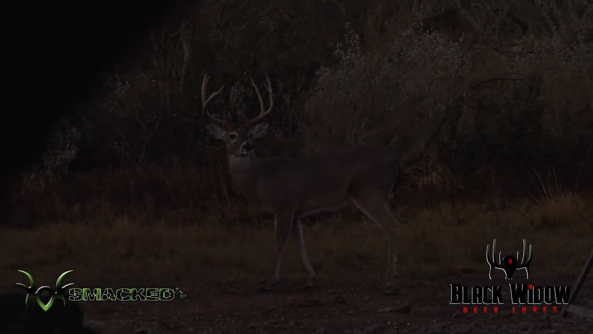 Testing Grounds - Part 1 episode thumbnail