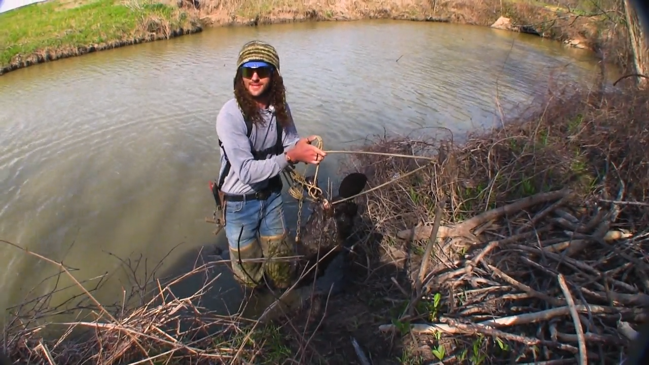 Son of a Beaverman - Part 1 episode thumbnail