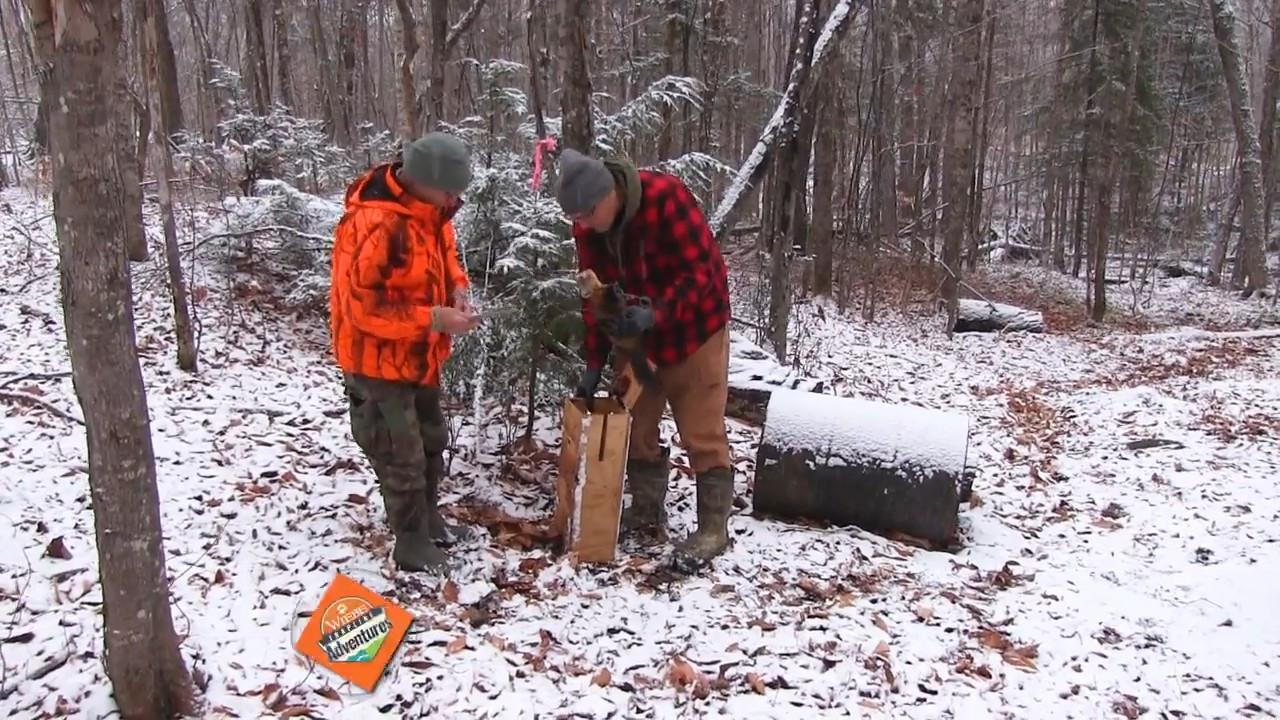 Maine Fisher/Marten – Ken Patula, Bob Melego, Butch Bornman episode thumbnail