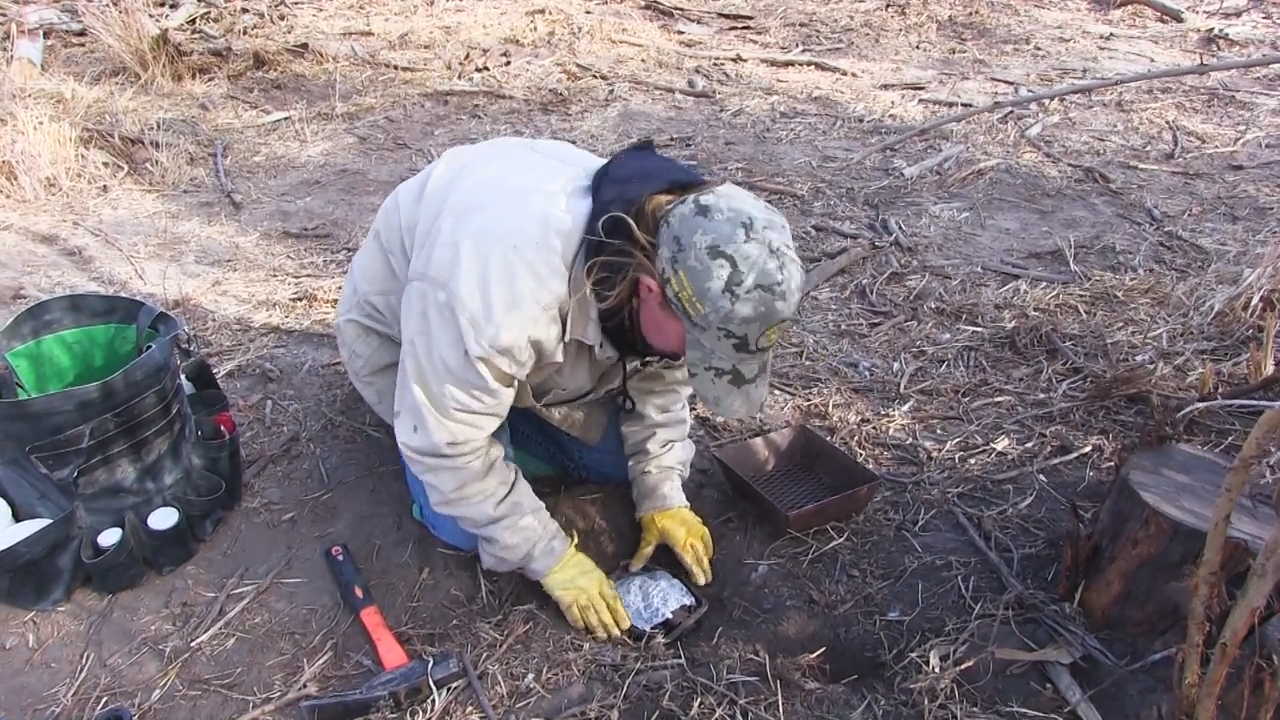 Six Girls on a Trapline - Part 2 episode thumbnail