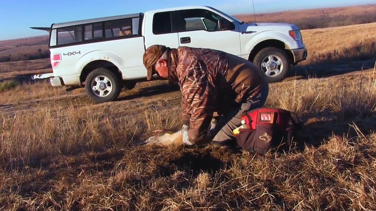 Marty Smith Cats and Coyotes episode thumbnail