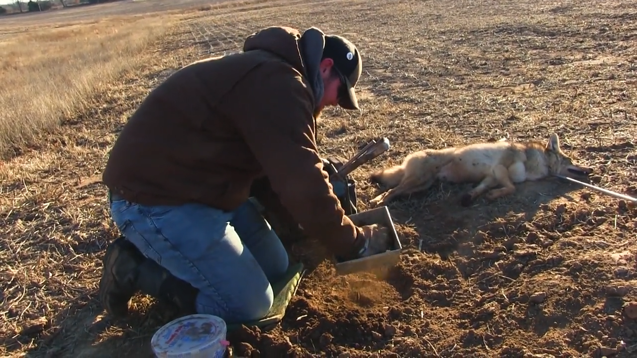Missouri Cats, Coyotes and Coon episode thumbnail