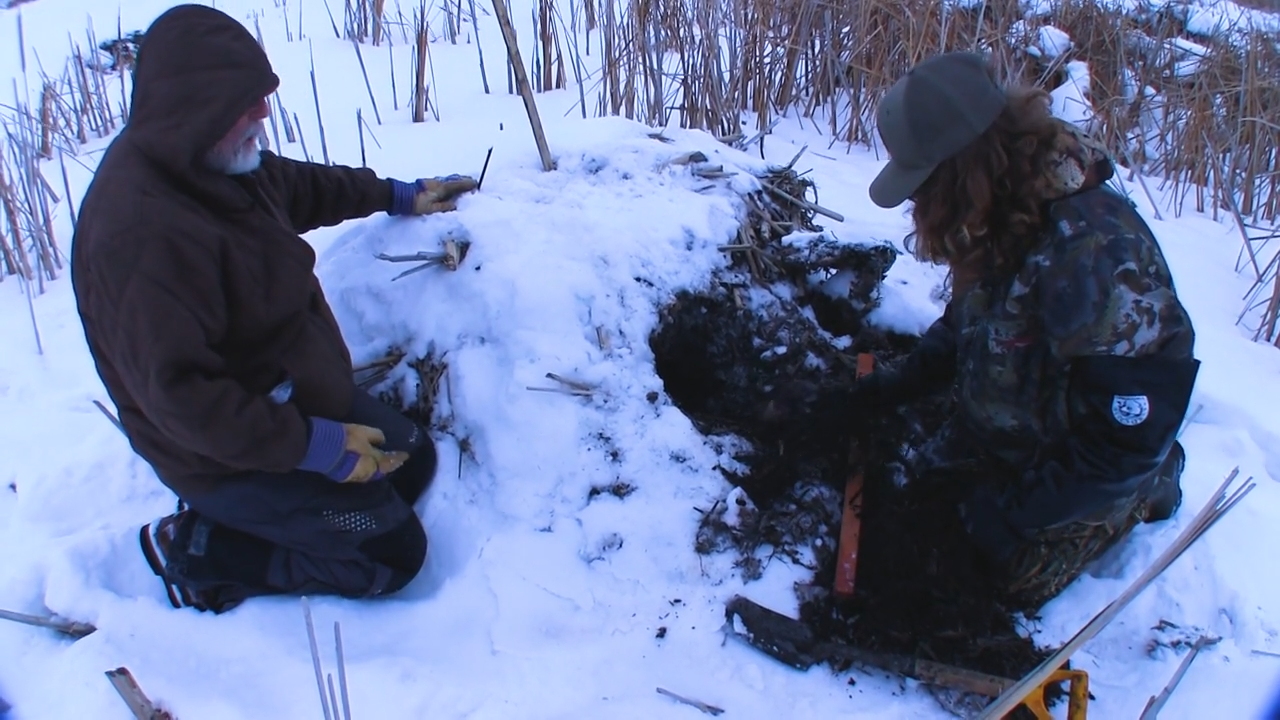 Winter Muskrat Trapping in South Dakota episode thumbnail