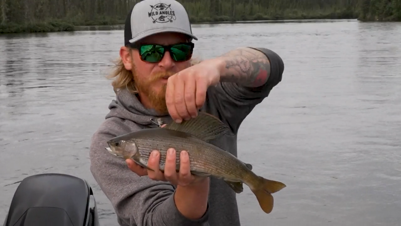 Grayling Catch & Cook on the Cree River episode thumbnail