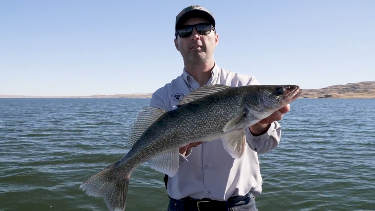 South Sask Surprise: Fishing Lake Diefenbaker episode thumbnail