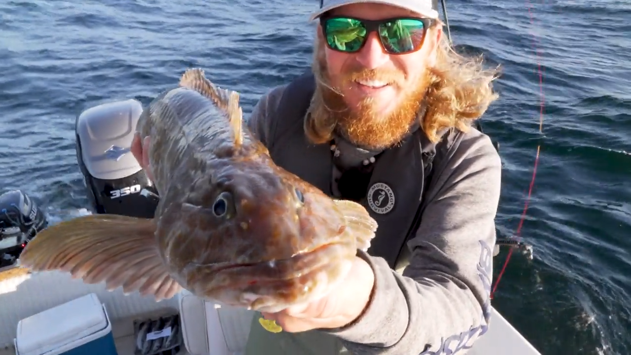 Lair of the Lingcod 2 episode thumbnail